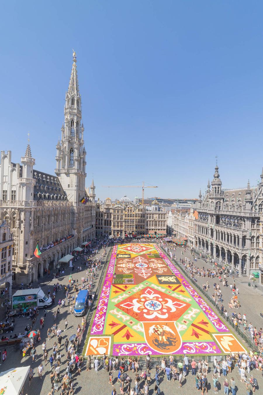 flower carpet 2022